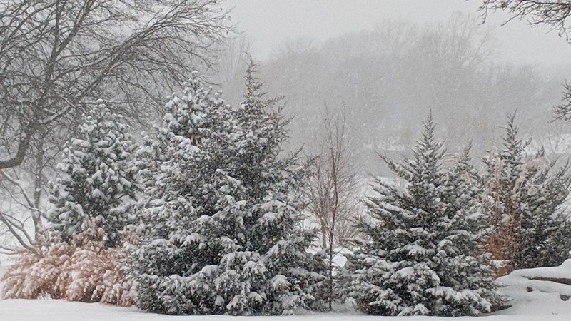 «Tormenta de nieve devastadora golpea Estados Unidos, paralizando millones de viajeros y afectando la normalidad en todo el país»